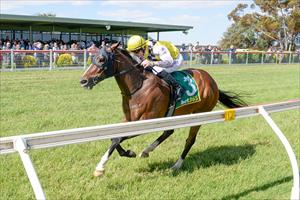 Chartres, Donald Cup 17 November 2024 Chartres, Donald Cup 17 November 2024